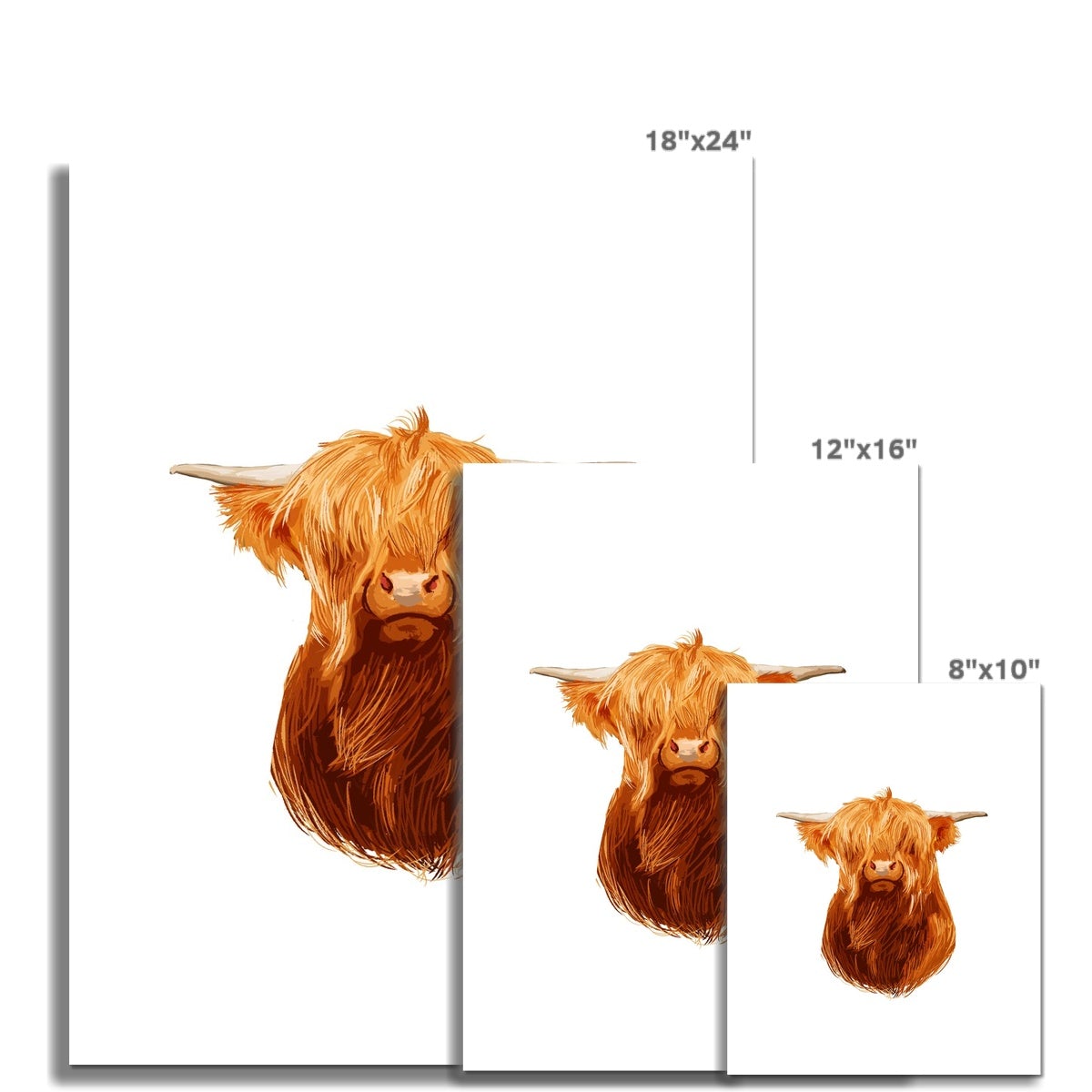 Highland Cattle Art #2