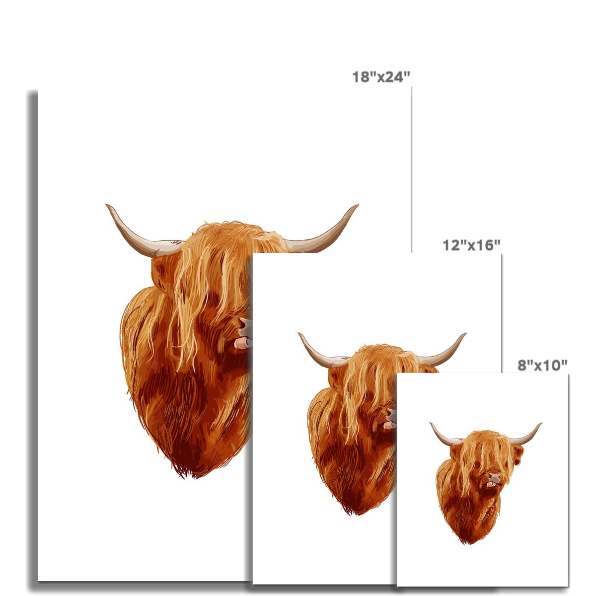 Highland Cattle Art #1