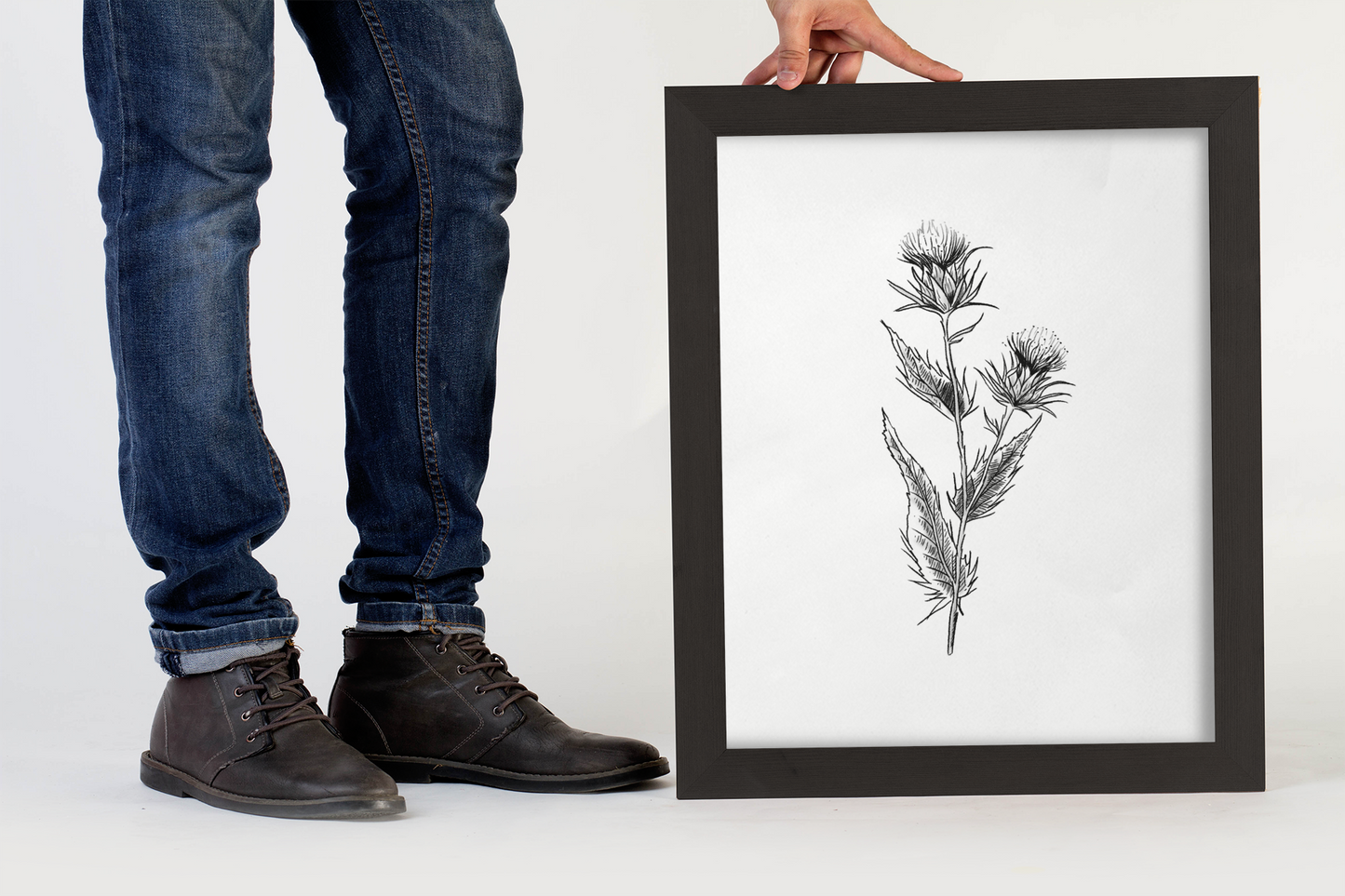The Scottish Thistle (Black and White)