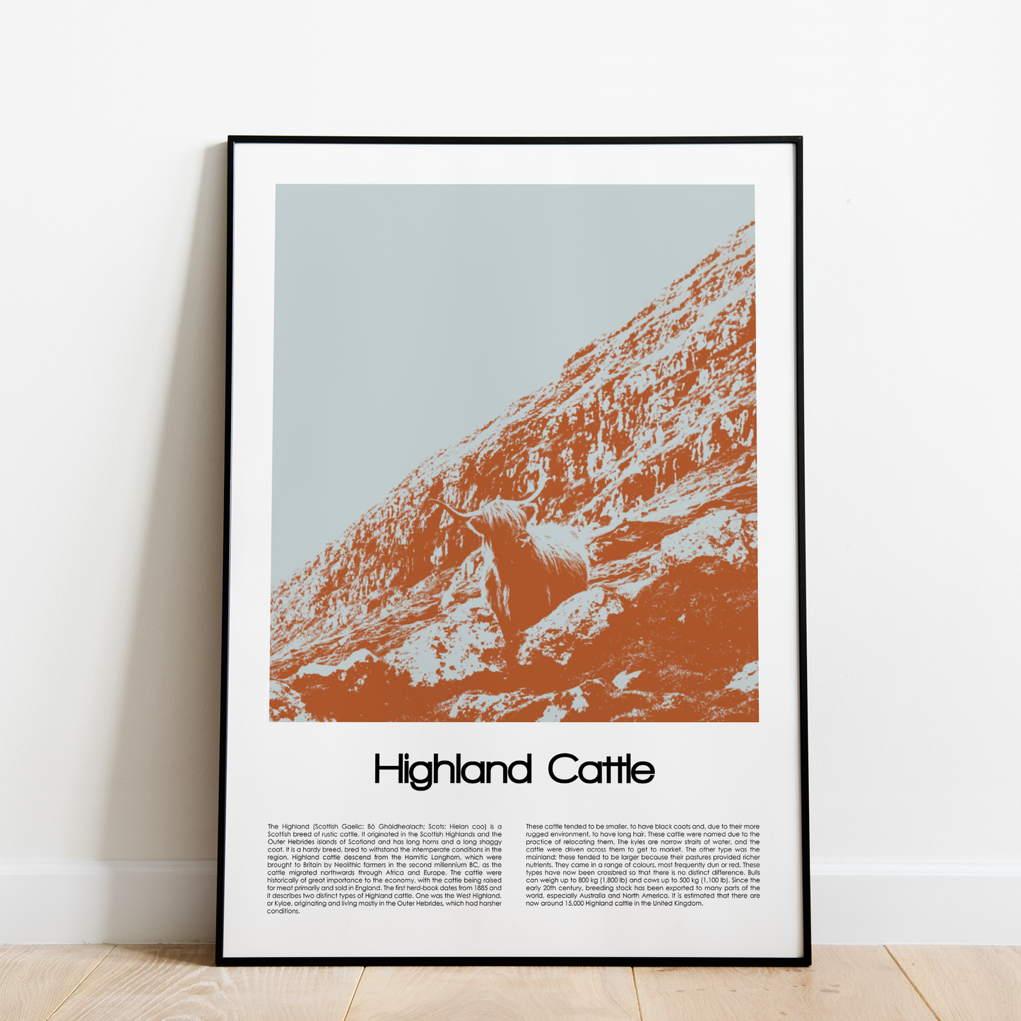 Highland Cattle Poster Art