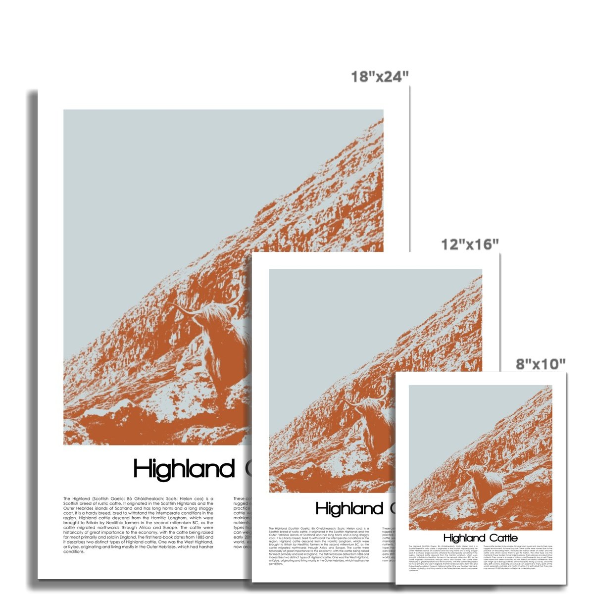 Highland Cattle Poster Art